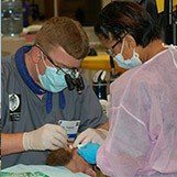 Dentist working with patient