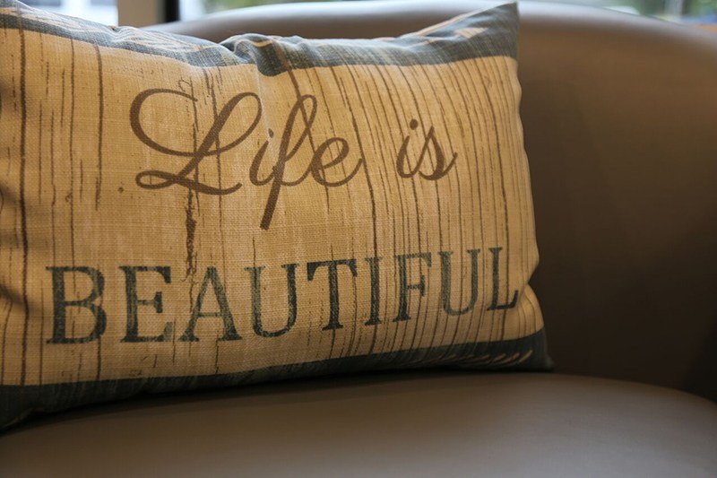 Life is Beautiful pillow